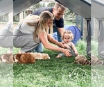 Small #15 Breeder Profile image