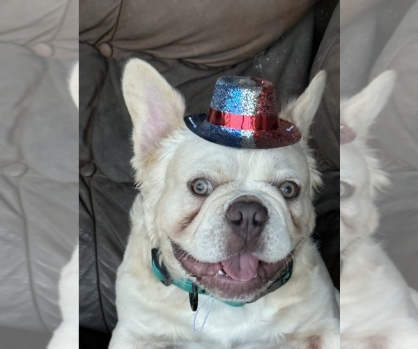 Medium Photo #5  Breeder Profile in LAKE WALES, FL, USA