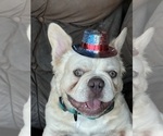Small #4 Breeder Profile image