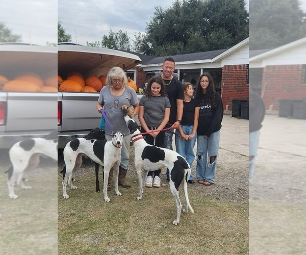 Medium Photo #8  Breeder Profile in MONTGOMERY, TX, USA