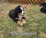 Small #16 Breeder Profile image