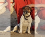Small #12 Breeder Profile image