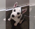Small #3 Breeder Profile image