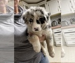 Small #19 Breeder Profile image