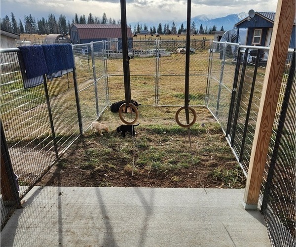 Medium Photo #26  Breeder Profile in STEVENSVILLE, MT, USA