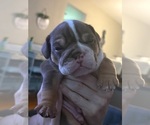 Small #3 Breeder Profile image