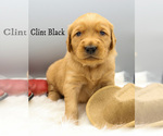 Small #1 Breeder Profile image