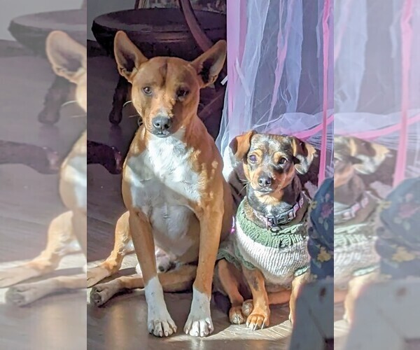 Medium Photo #14  Breeder Profile in DORA, MO, USA