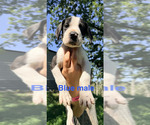 Small #18 Breeder Profile image
