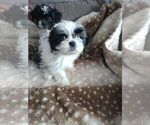 Small #5 Breeder Profile image