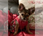 Small #68 Breeder Profile image