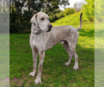 Small #2 Breeder Profile image