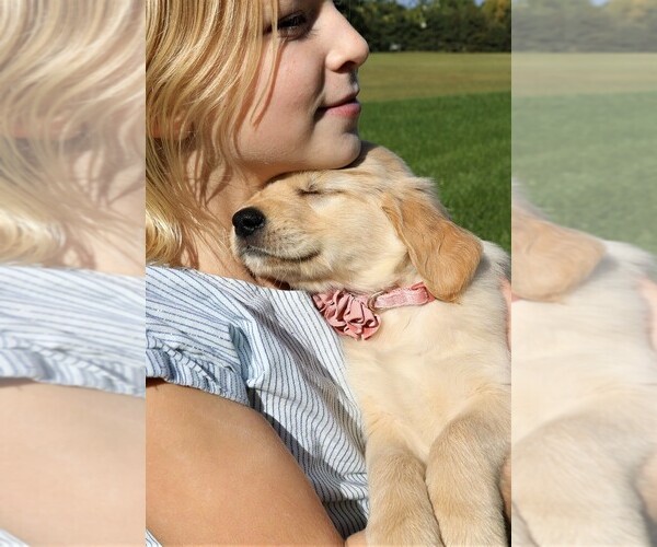 Medium Photo #1  Breeder Profile in SHIPSHEWANA, IN, USA