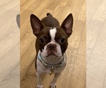 Small #4 Breeder Profile image