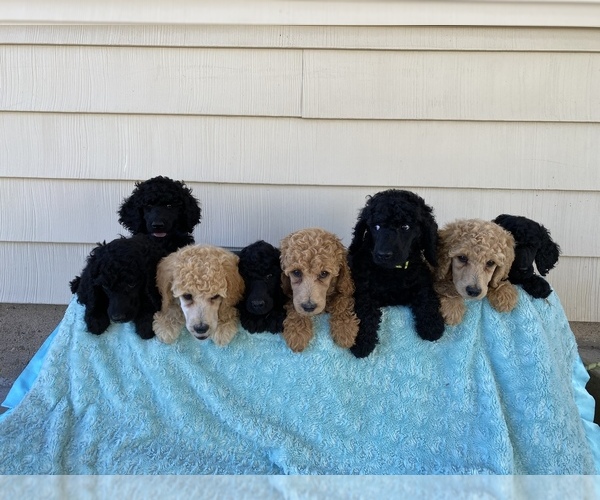 Medium Photo #1  Breeder Profile in MORGAN, UT, USA