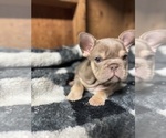 Small #11 Breeder Profile image