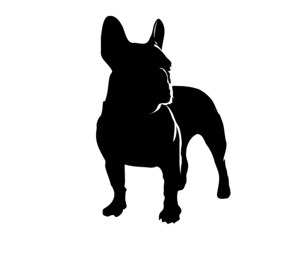 Medium Photo #1  Breeder Profile in ATWATER, CA, USA