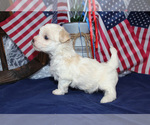 Small #35 Breeder Profile image