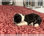 Small #8 Breeder Profile image