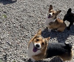 Small #5 Breeder Profile image