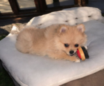 Small #2 Breeder Profile image