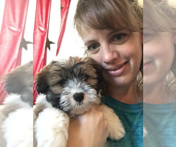 Medium Photo #1  Breeder Profile in MANTECA, CA, USA
