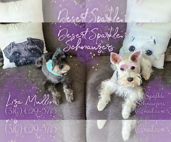 Medium Photo #1  Breeder Profile in OAK HILLS, CA, USA
