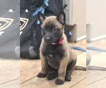 Small #1 Breeder Profile image
