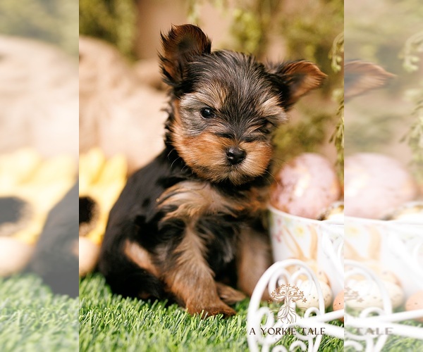 Medium Photo #1  Breeder Profile in WEST FARGO, ND, USA