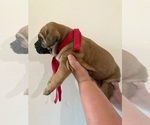 Small #5 Breeder Profile image