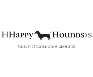 Dachshund Dog Breeder near MOUNTAIN GROVE, MO, USA