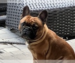 Small #4 Breeder Profile image