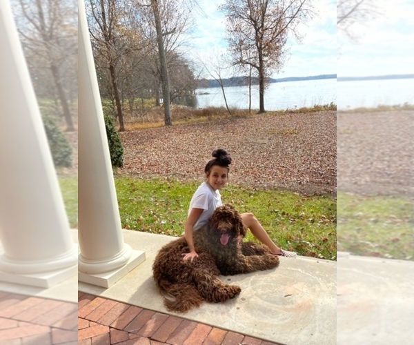Medium Photo #2  Breeder Profile in NEW LONDON, NC, USA