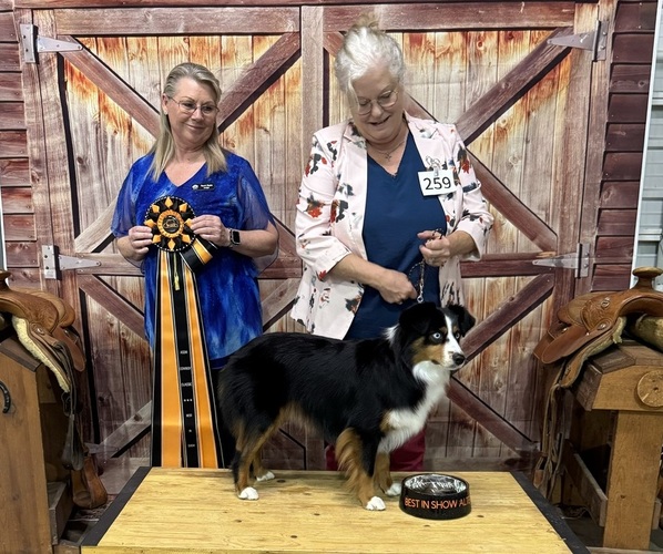 Medium Photo #37  Breeder Profile in NOLENSVILLE, TN, USA