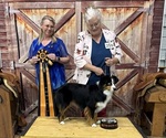 Small #36 Breeder Profile image