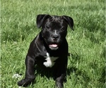 Small #65 Breeder Profile image