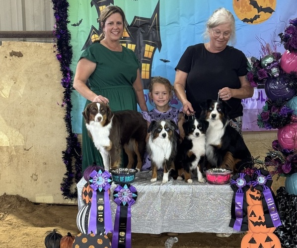 Medium Photo #36  Breeder Profile in NOLENSVILLE, TN, USA