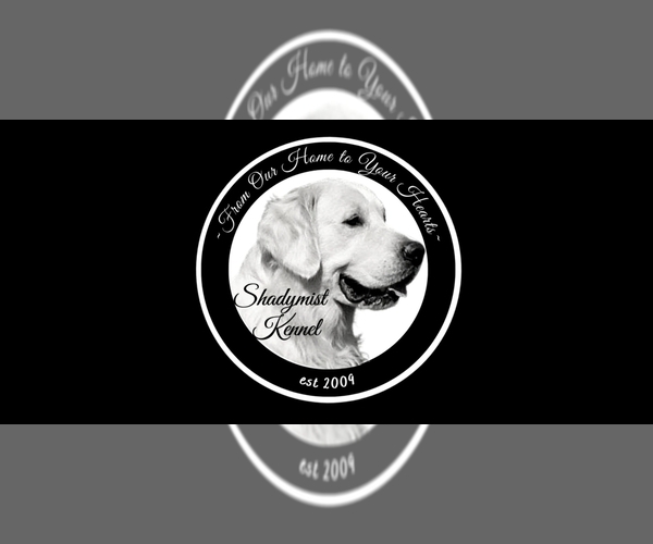 Medium Photo #6  Breeder Profile in RICHMOND, VA, USA