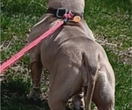 Small #3 Breeder Profile image