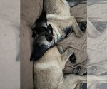 Small #15 Breeder Profile image