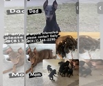 Small #5 Breeder Profile image