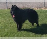 Small #5 Breeder Profile image