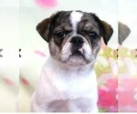 Small #18 Breeder Profile image