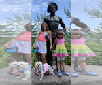 Small #24 Breeder Profile image