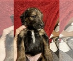 Small #5 Breeder Profile image