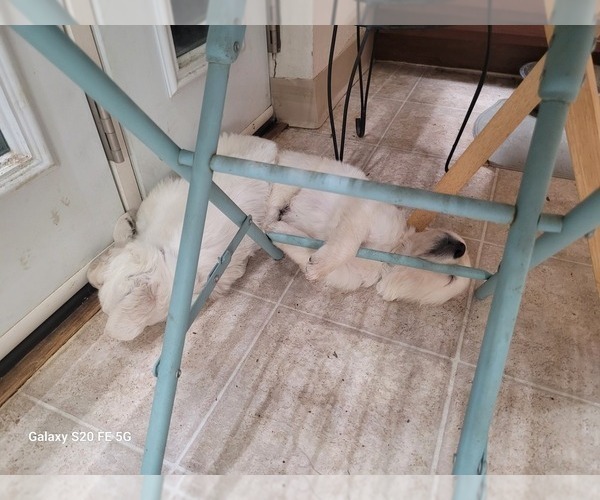 Medium Photo #1  Breeder Profile in BAGDAD, AZ, USA
