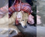 Small #3 Breeder Profile image