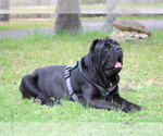 Small #40 Breeder Profile image