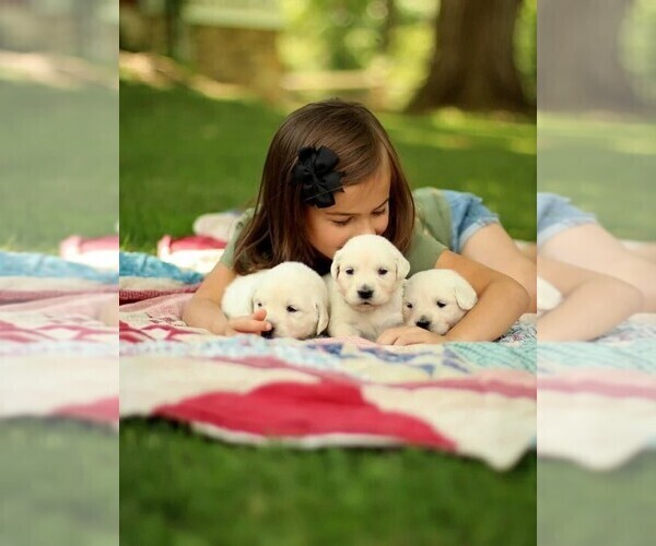 Medium Photo #1  Breeder Profile in BEDFORD, PA, USA