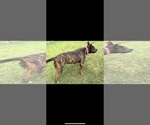 Small #4 Breeder Profile image